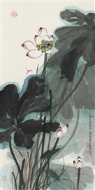 Sun Jiaqin Picture