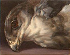 Robert Devriendt Picture