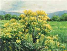 Ouray Meyers Picture