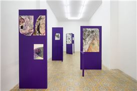 Andrea Bolognino Picture