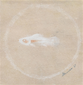 Morris Graves Picture