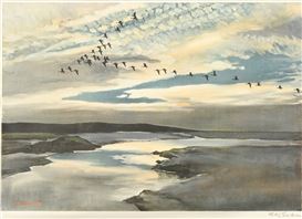 Peter Markham Scott Picture