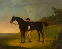 Thomas Stringer Picture