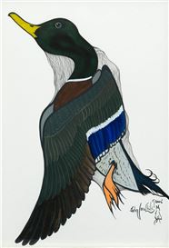 John Lonechild Picture