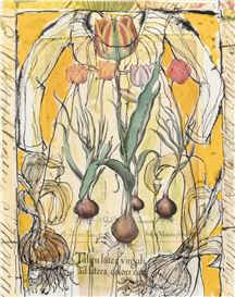 Janet Taylor Pickett