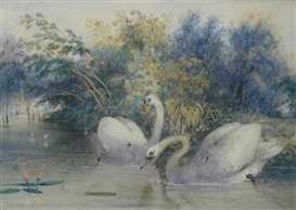 Newton Limbird Smith Fielding Picture