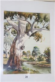 Charles Frydrych Picture
