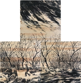 Orit Hofshi Picture