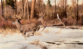 Ken Carlson Picture