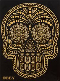 Ernesto Yerena Picture