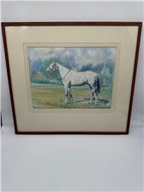 Rosemary O'Callaghan-Westropp Picture