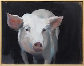 Pablo Fernandez Pujol Picture