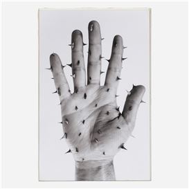 Martin Soto Climent Picture