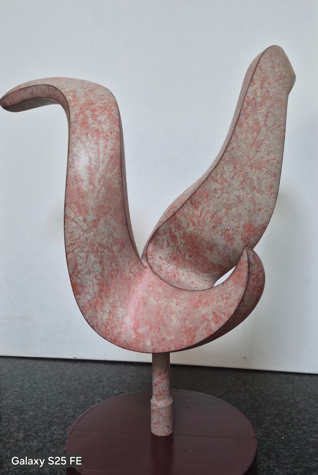 A flight of a bird by Moriya Mor, null