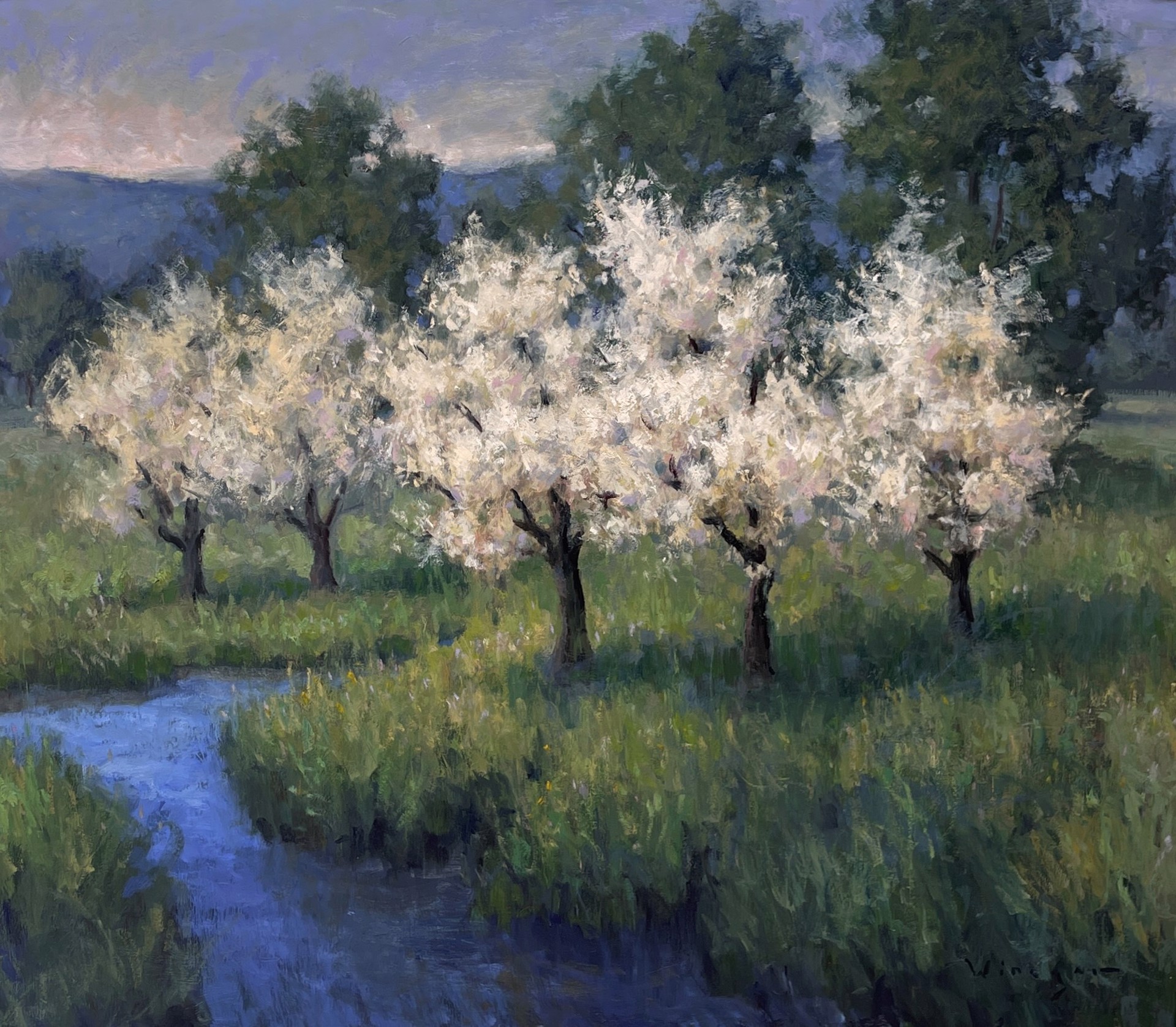 Spring Full Bloom