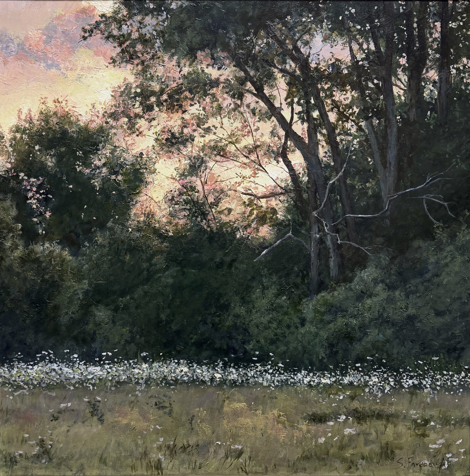 Queen Anne’s Lace by Sheri Farabaugh, 2025
