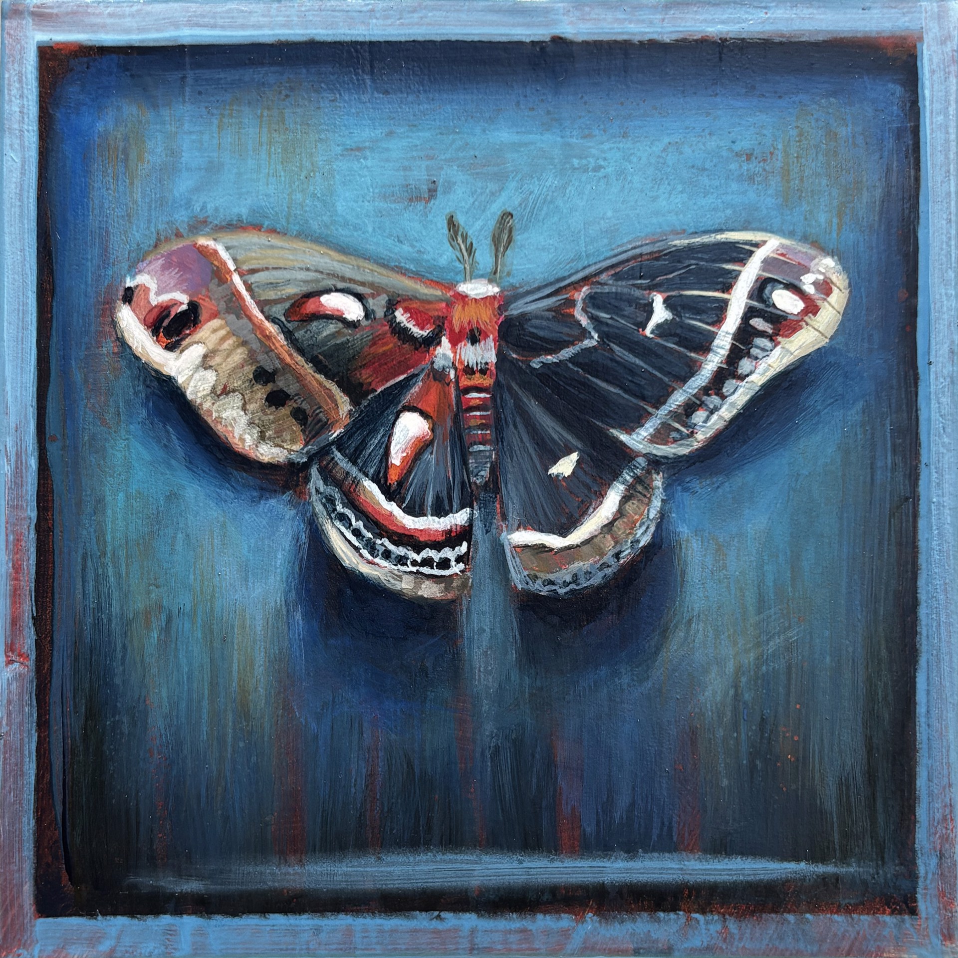 Mini Hybrid 6 by Stacy D'Aguiar, 2026