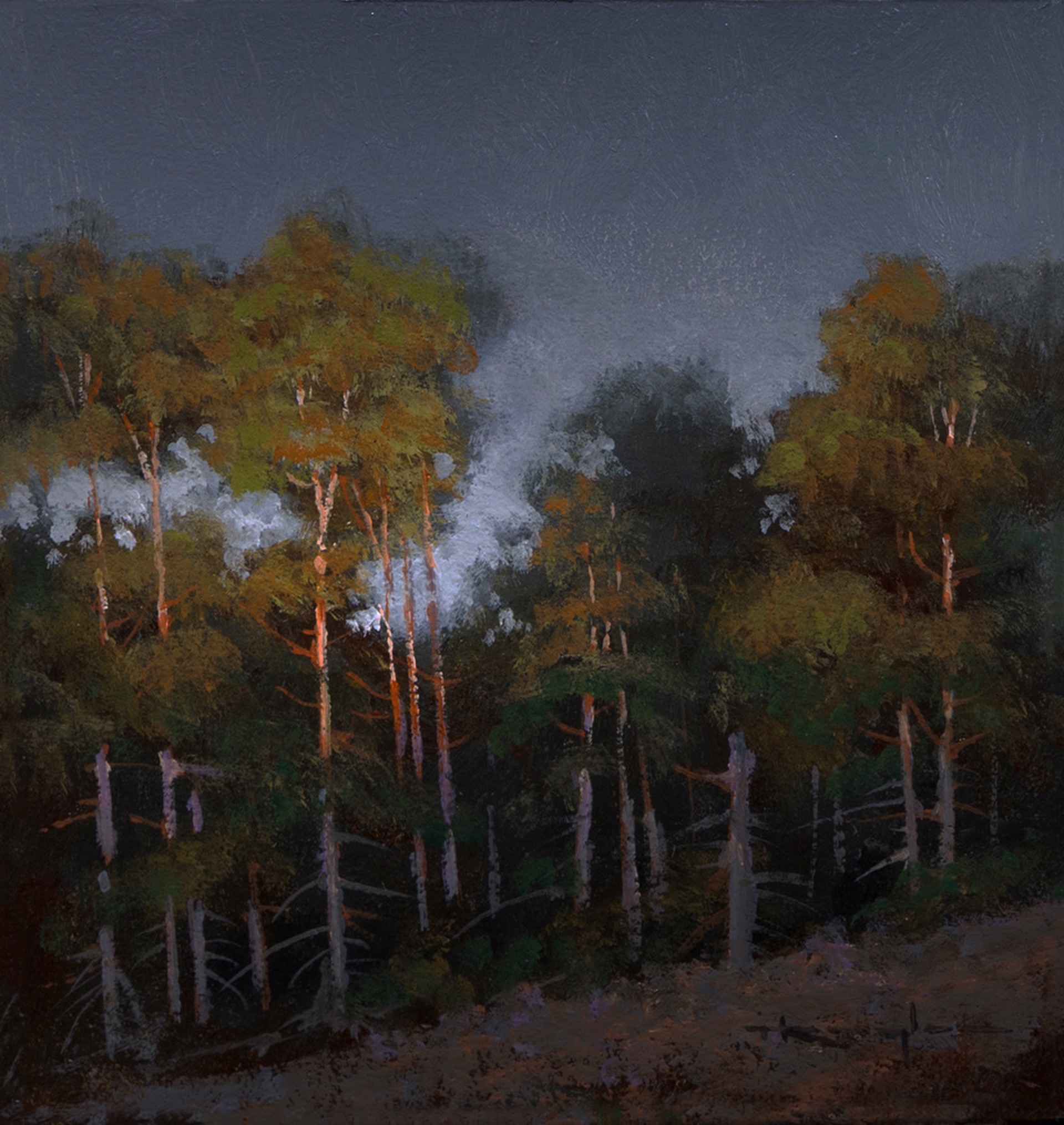 Evening Pines, Psalm 62:1-2 by Thomas Kegler, 2026