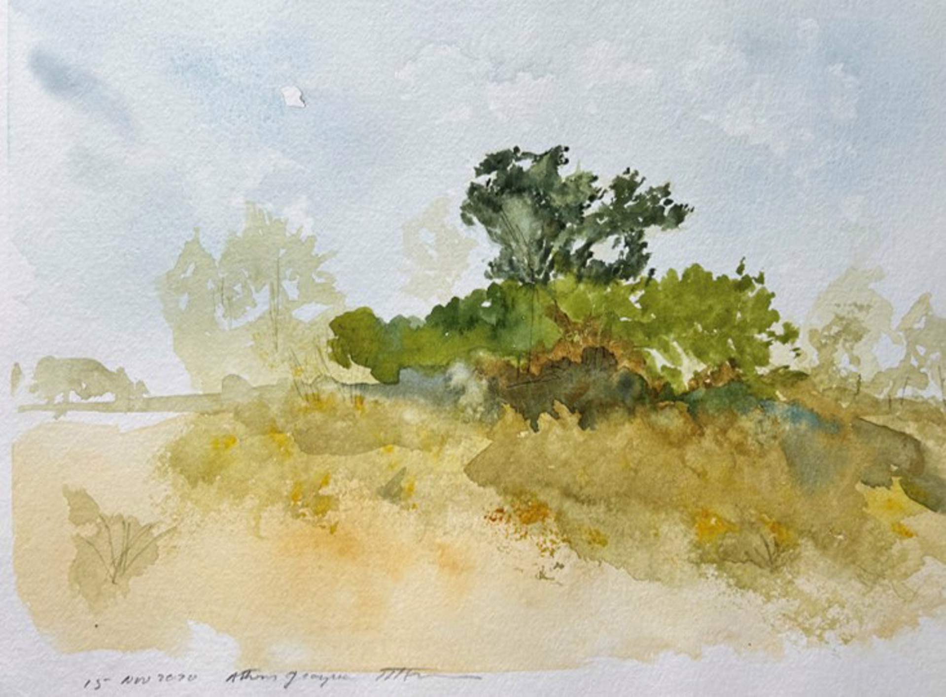 A watercolor landscape of a sunlit hillside with a prominent tree.