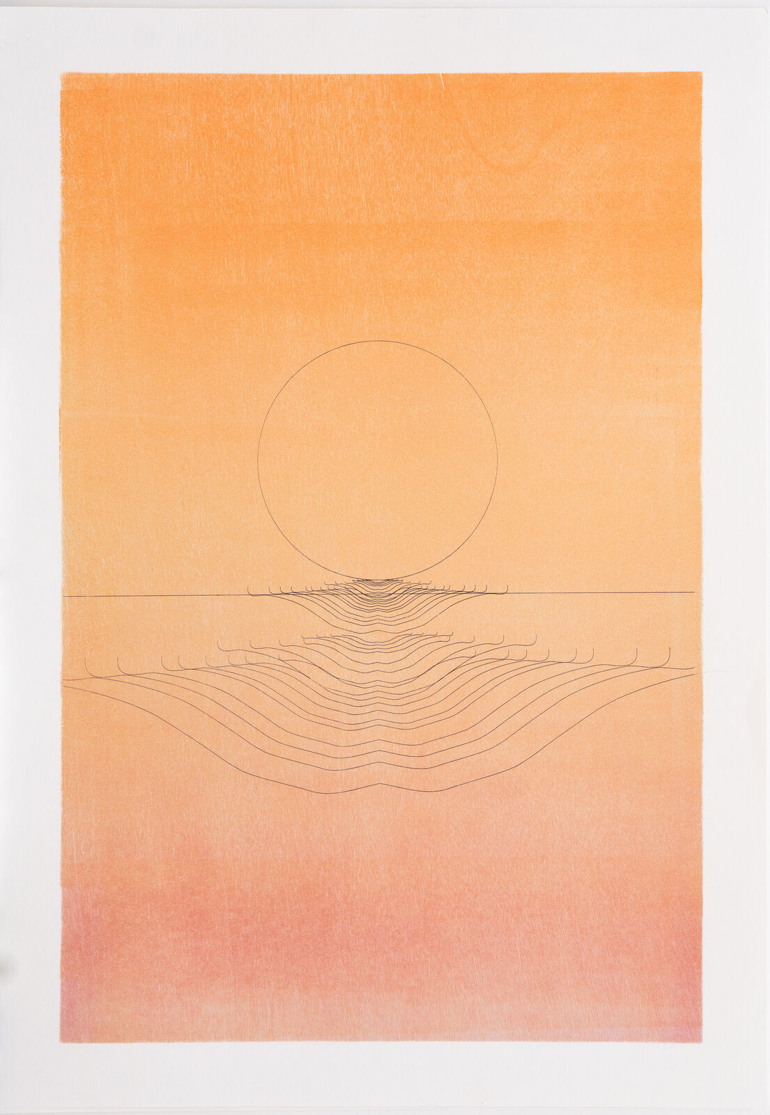 SUN SHARK 2025 by Adam Rabinowitz, 2025