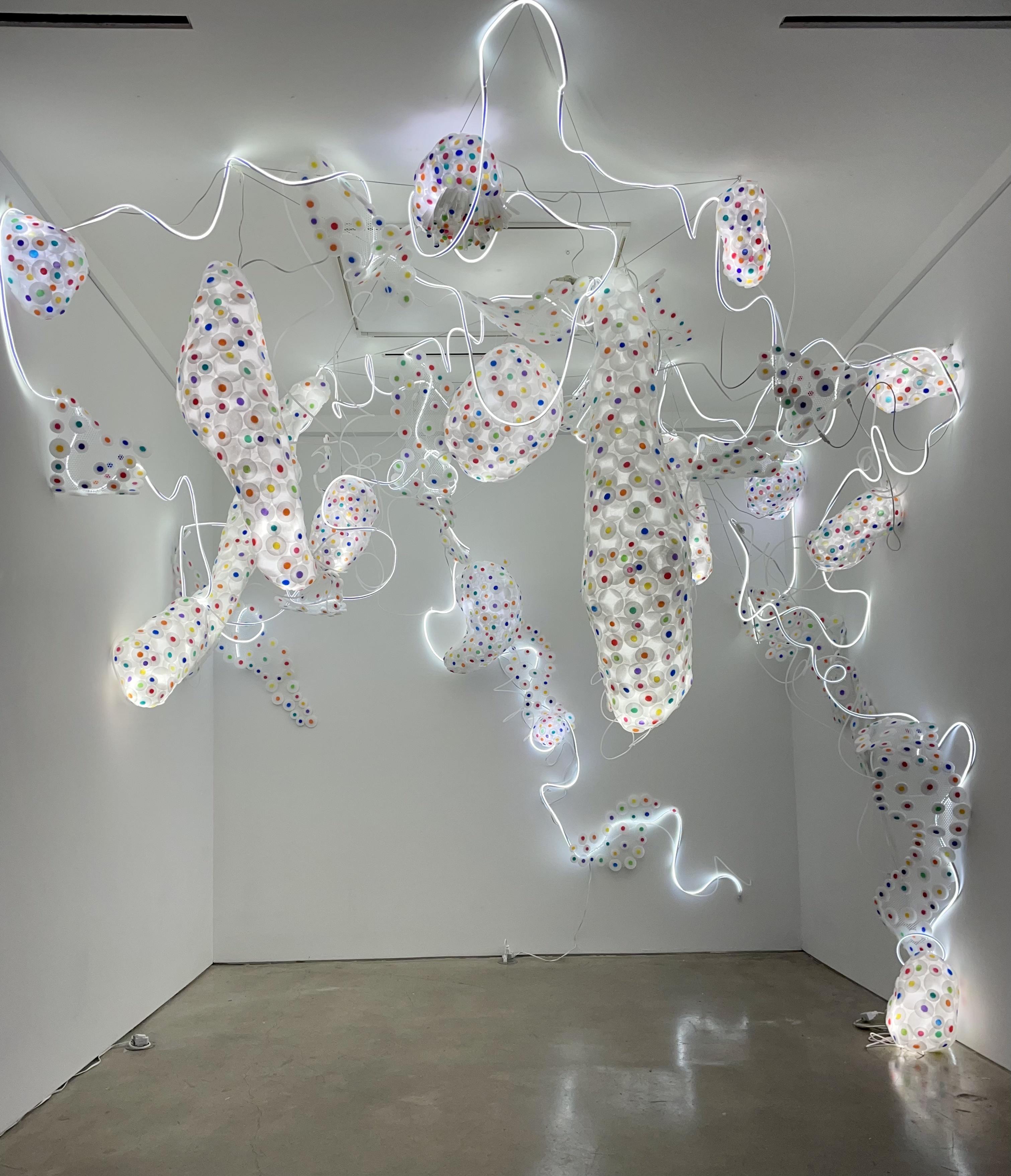 Artwork by Adela Andea, Midnight Zone, Made of Hybrid Materials: Flex neon, LED, various plastics 