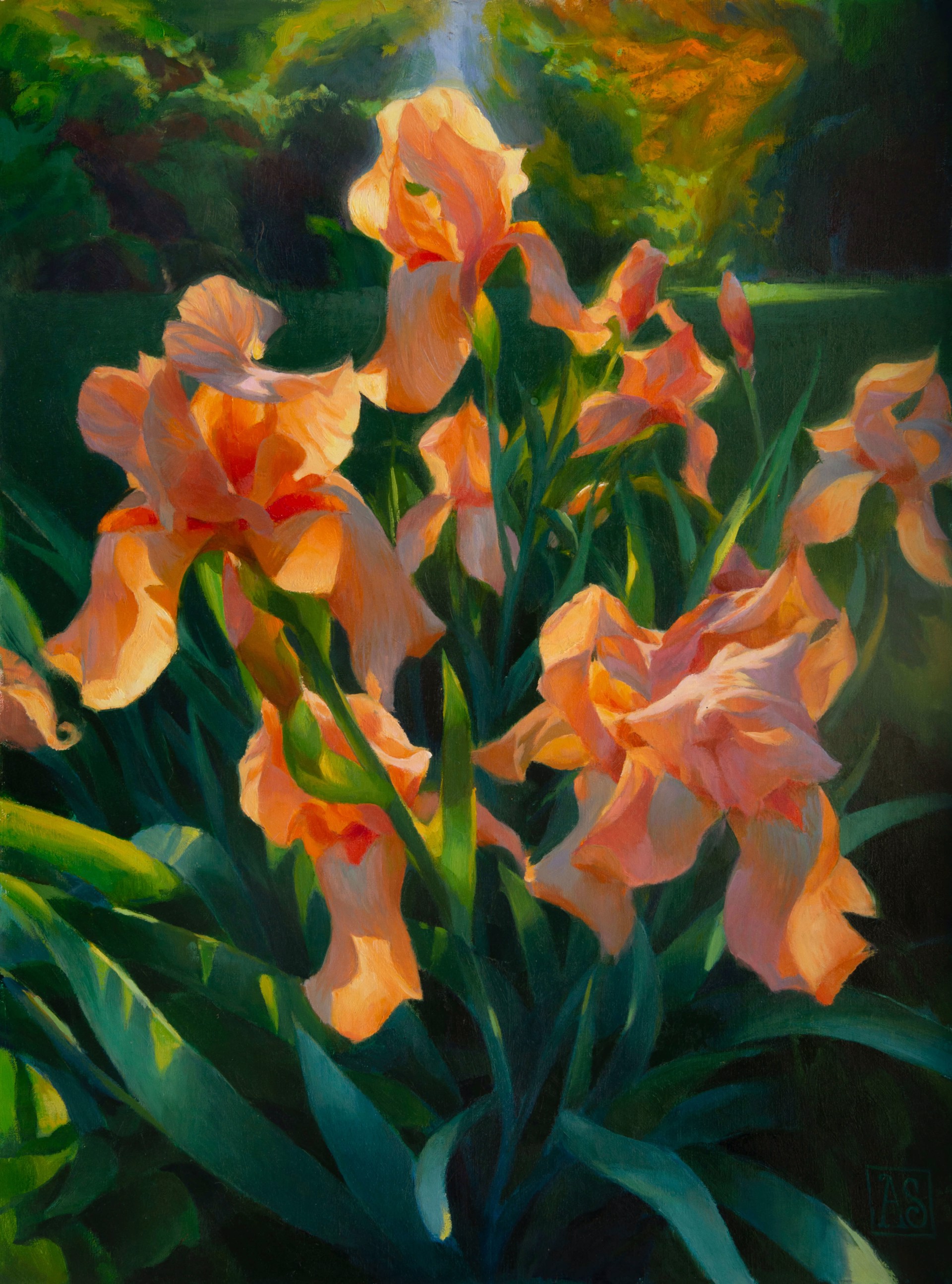 Tangerine Irises by Adrienne Stein, 2024