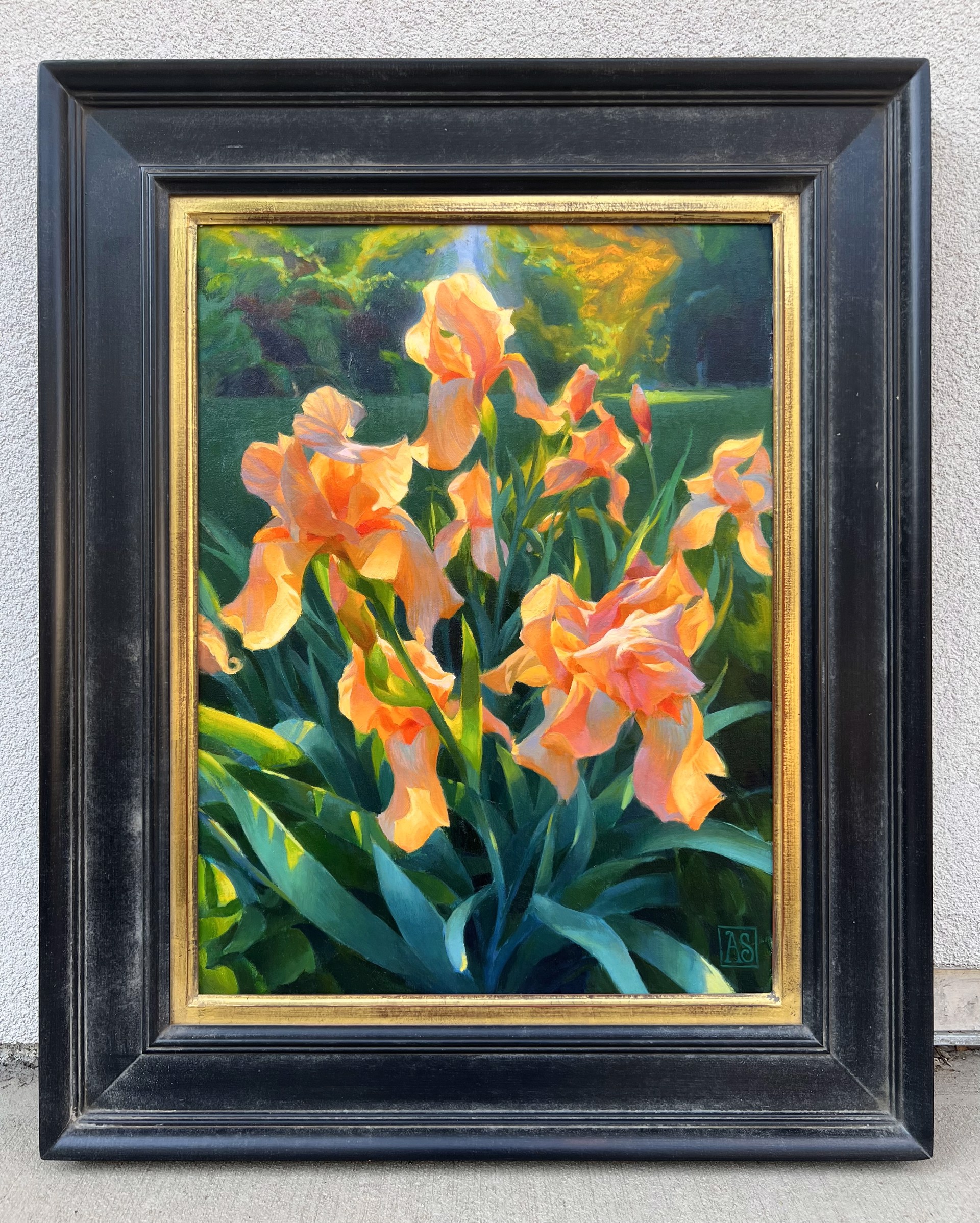 Tangerine Irises