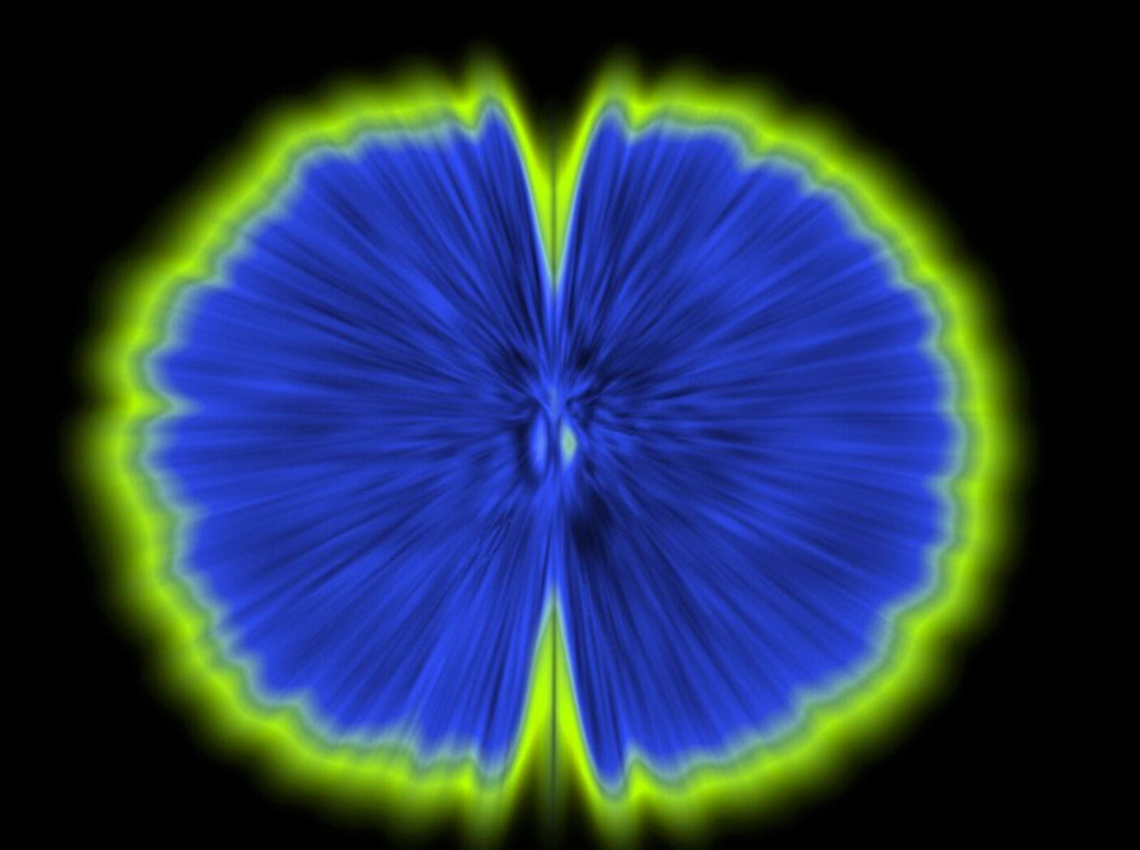 A blue and yellow flower on a black background.