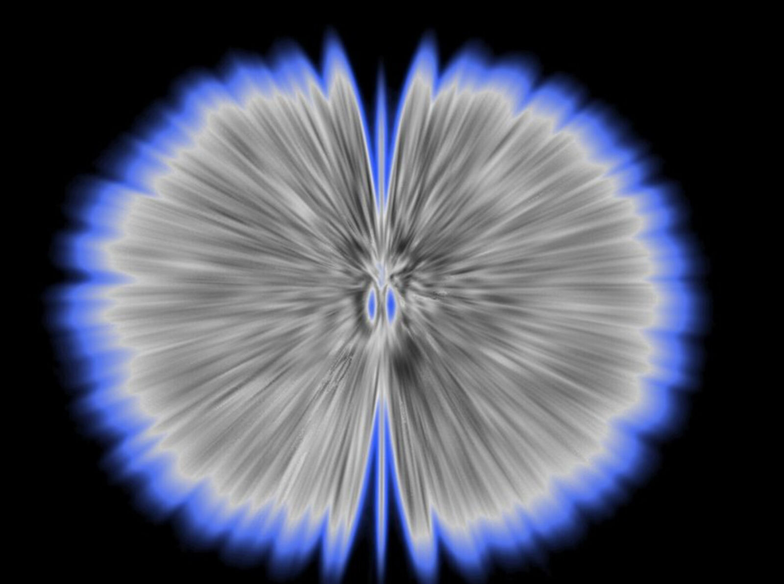 A blue and white flower on a black background.