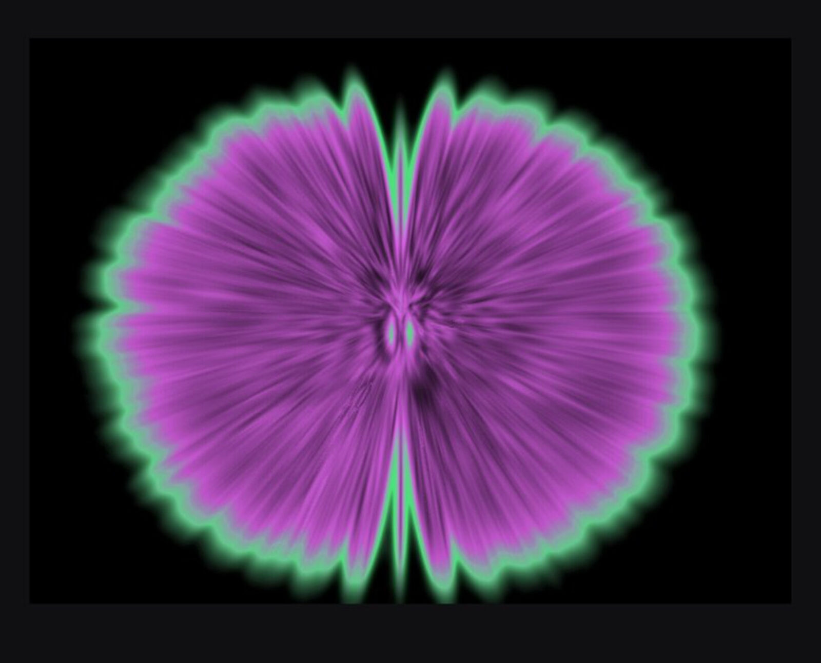 A purple and green flower on a black background.