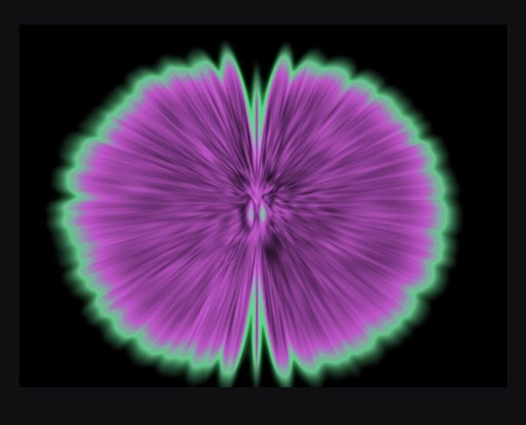 Butterfly Experiments in lilac by Agnes Denes, 2015