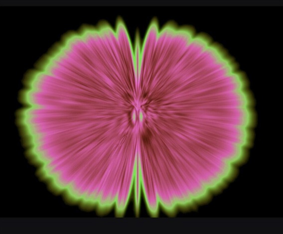 Artwork by Agnes Denes, Butterfly Experiments in pink, Made of Digital print 