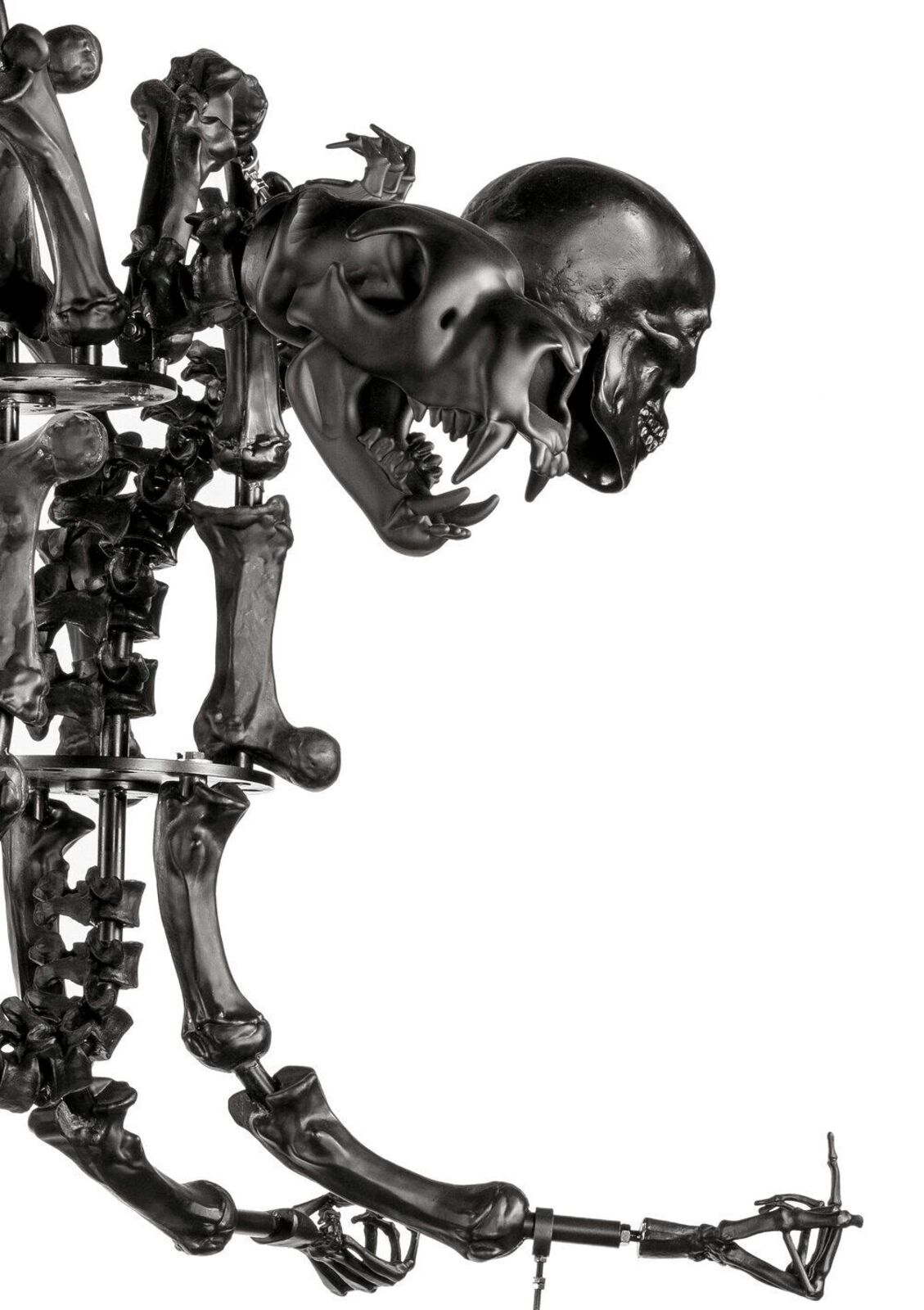 A black chandelier with skulls hanging from the ceiling.