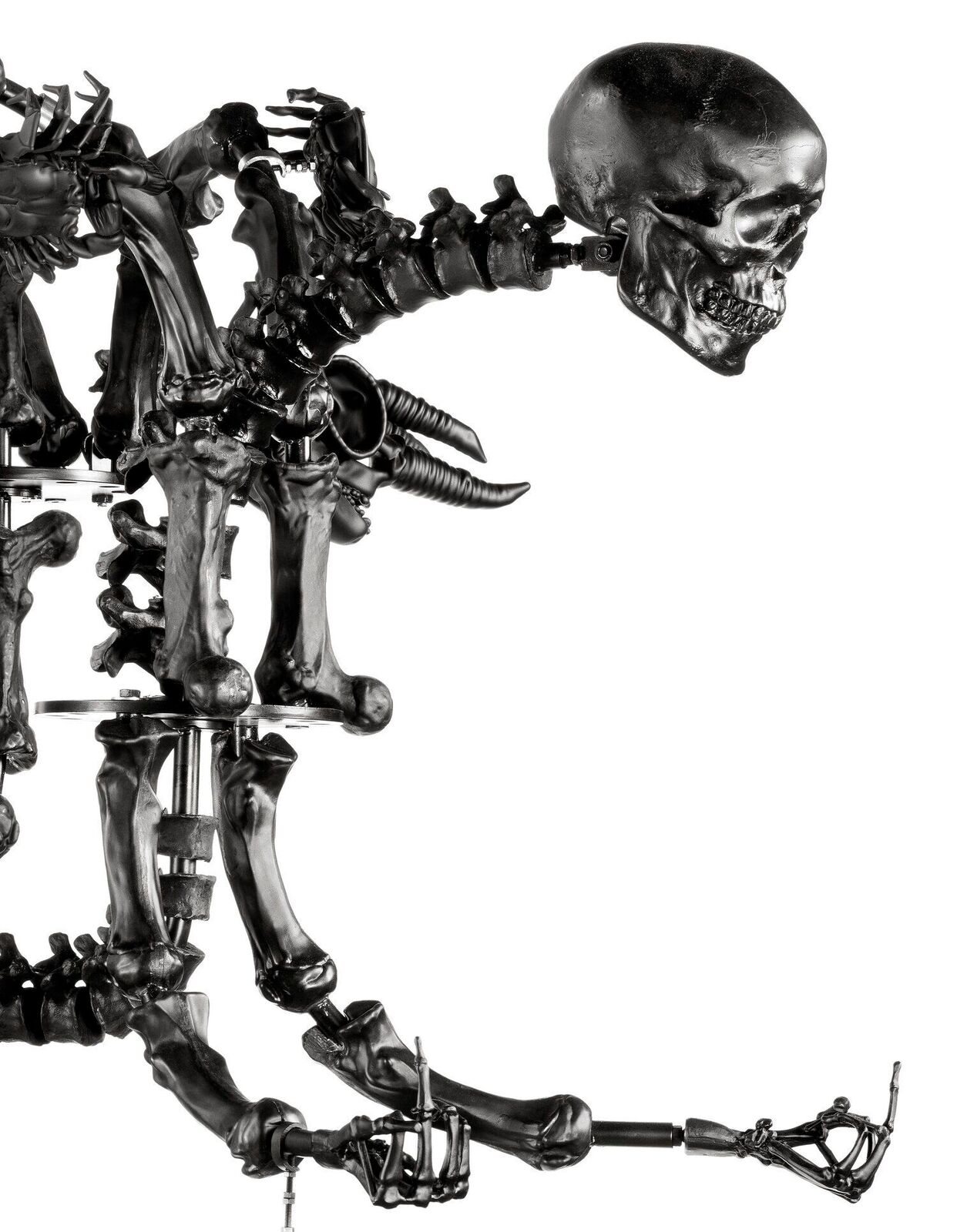 A skeleton chandelier with a skull on top of it.