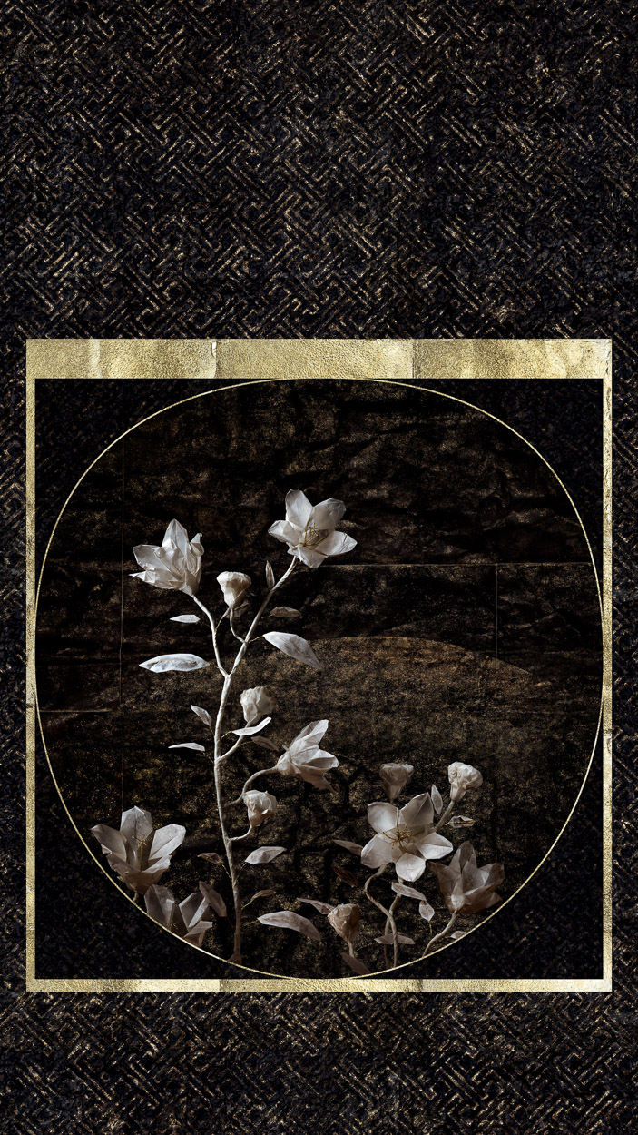 A black and gold frame with white flowers on a black background.