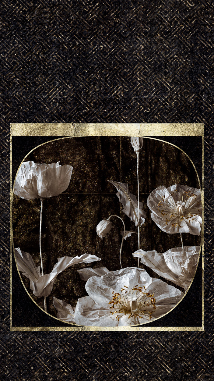 Spring Poppies by Alessio Fangano, 2017