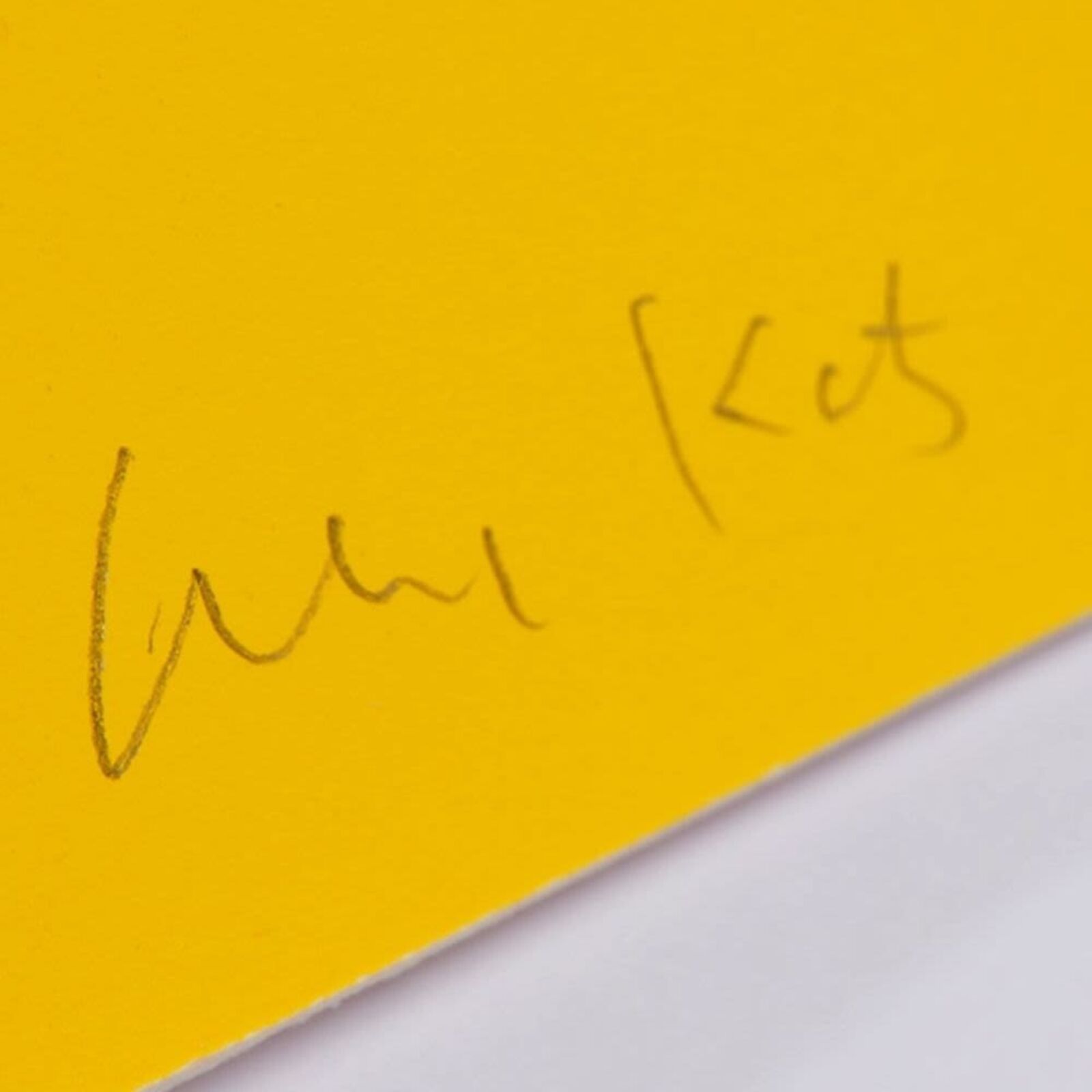 A picture of a woman in a black dress on a yellow background.