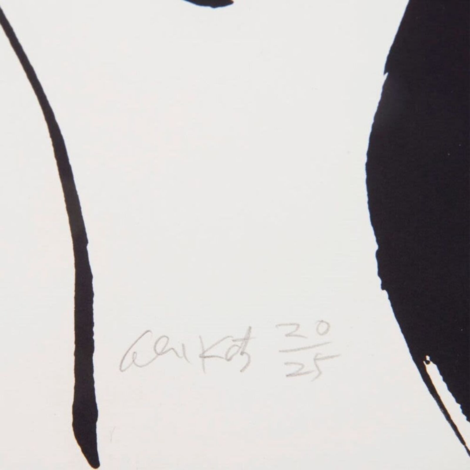 A black and white drawing of a woman's face on a wall.