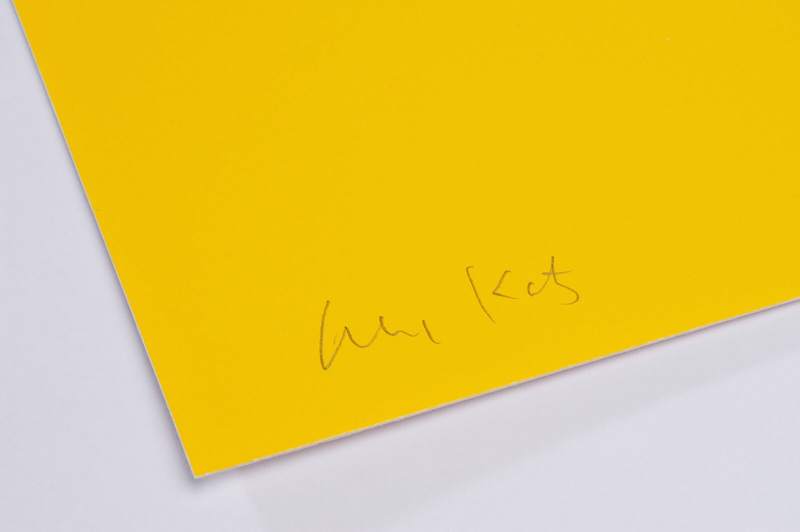 A woman wearing a black hat and sunglasses.