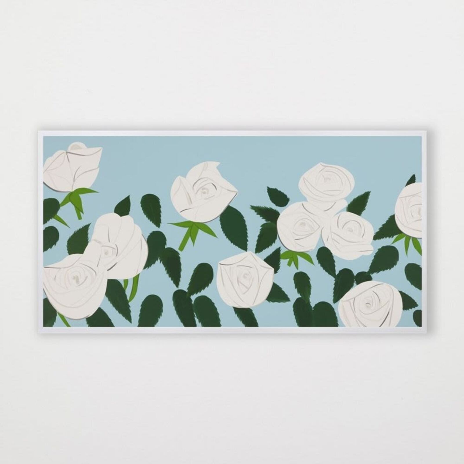 white roses on a blue background