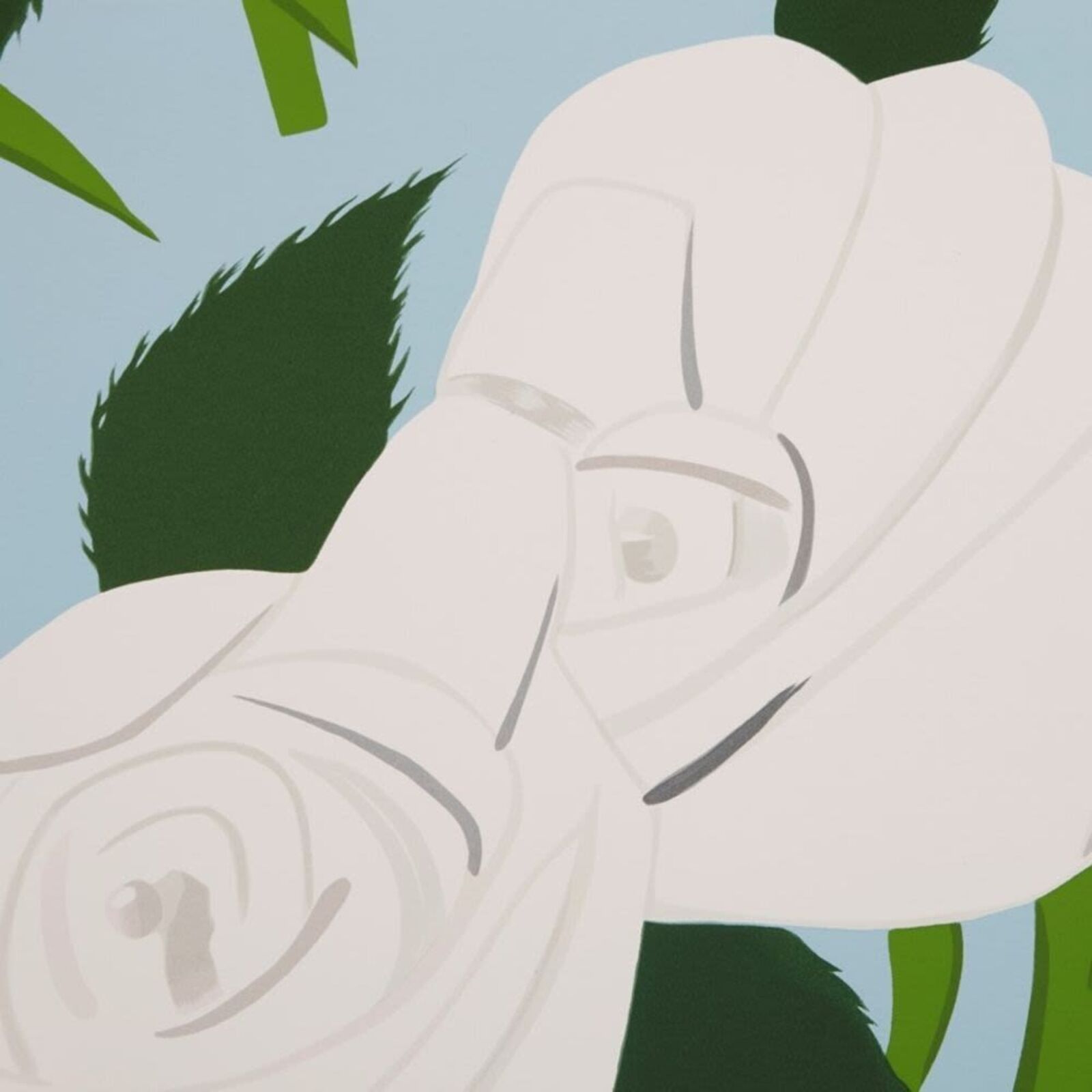 white roses on a blue background