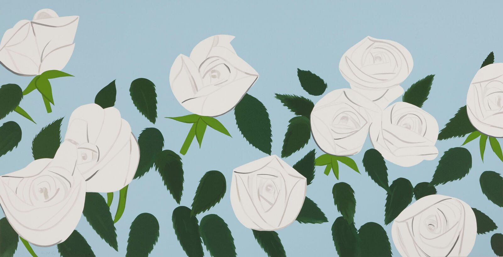 white roses on a blue background