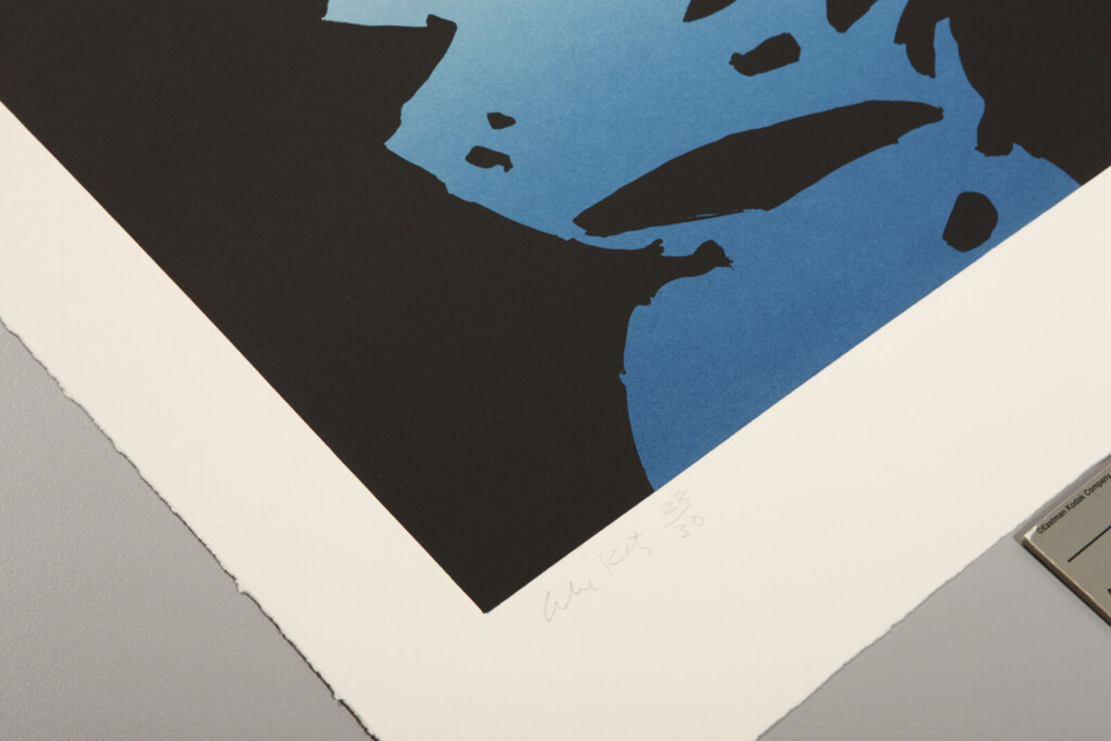 Artwork by Alex Katz, Reflection II, Made of Etching 