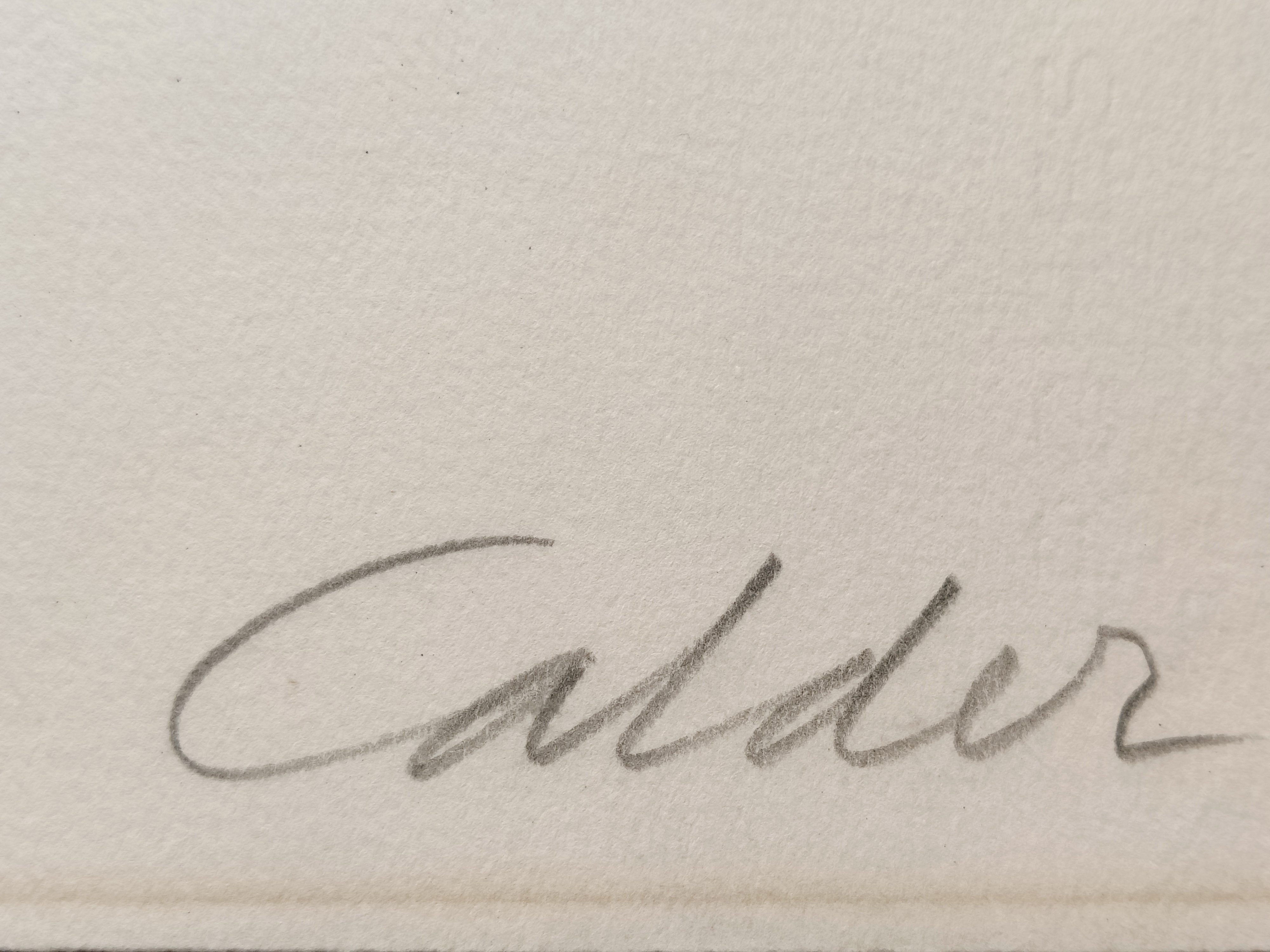 A painting of red and black flowers on a white background.