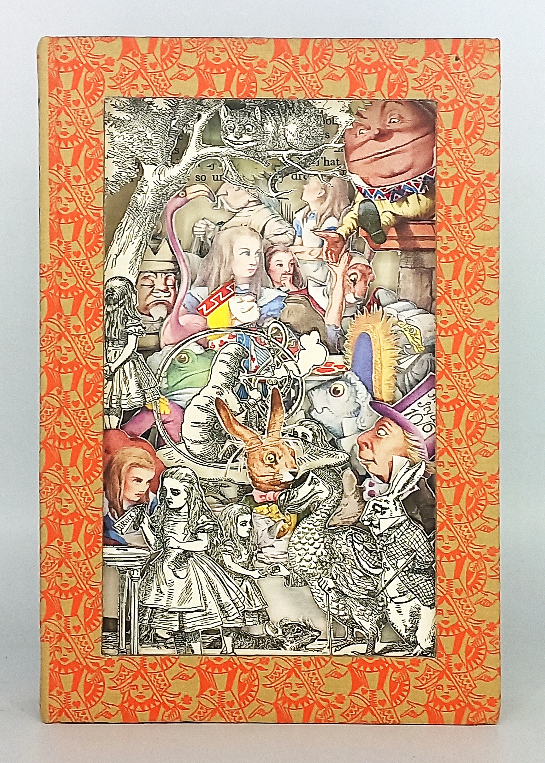 A book with a picture of Alice in Wonderland on it.