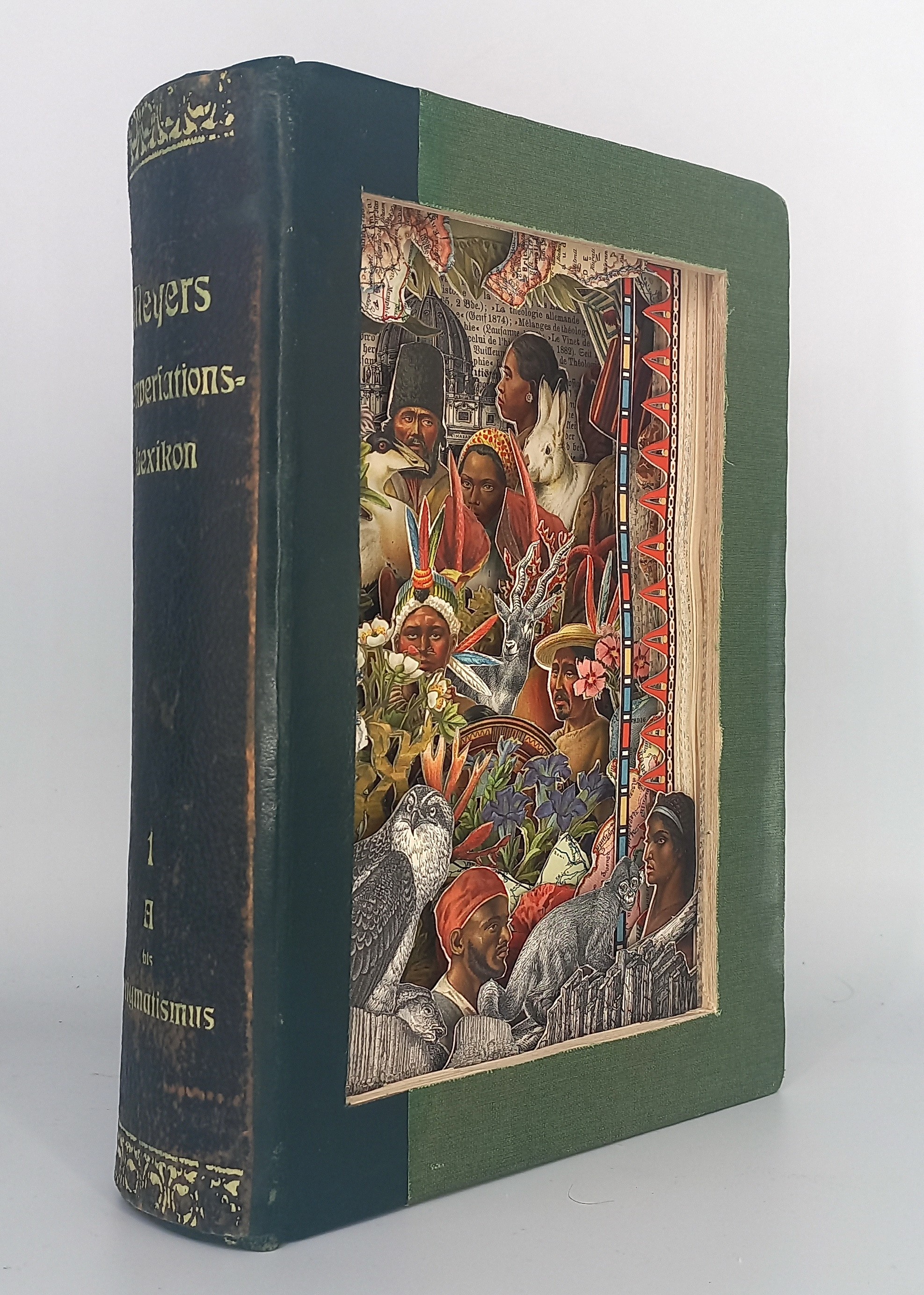 A collage of a group of people surrounded by animals and plants.