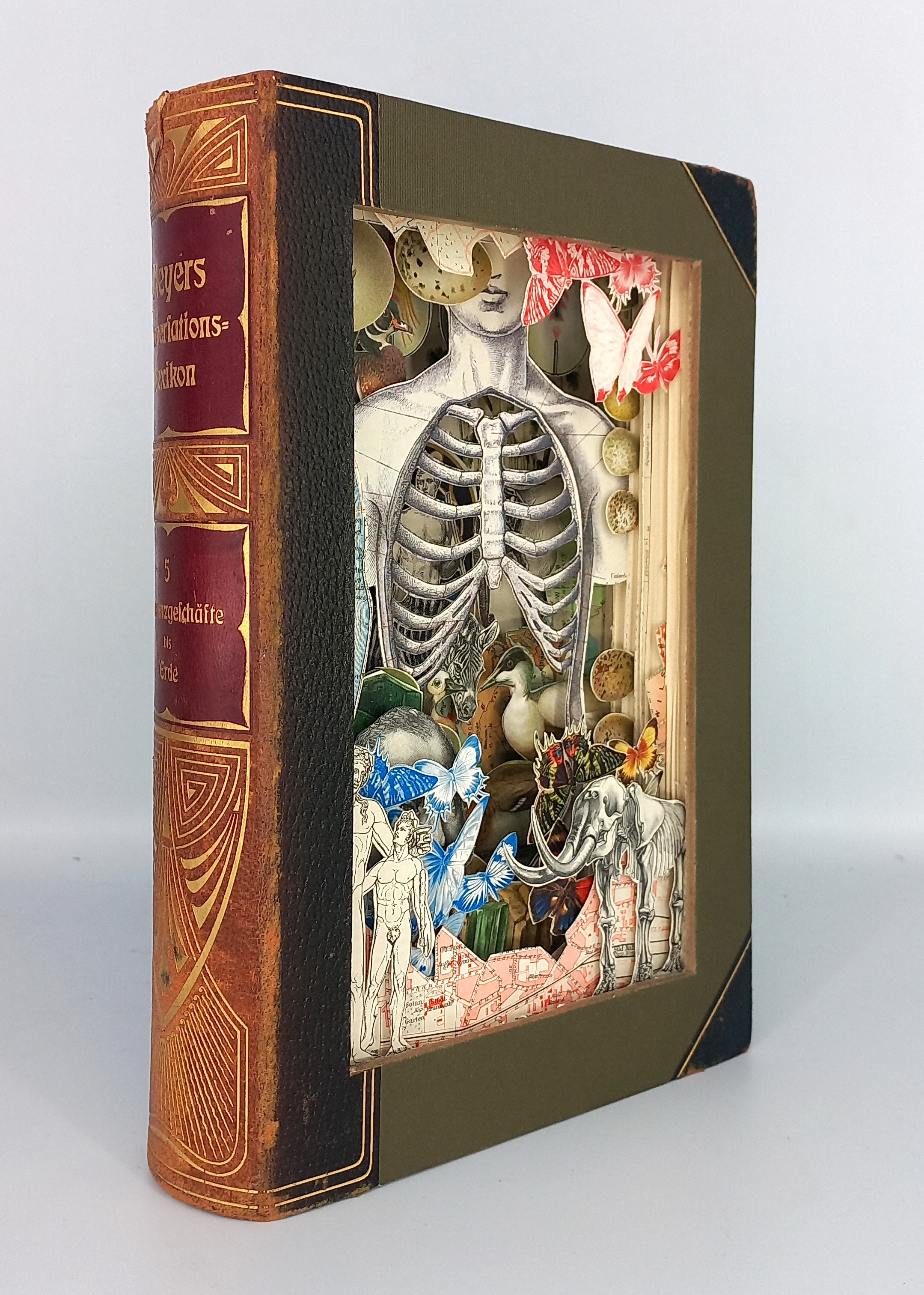 A drawing of a human skeleton surrounded by birds and flowers.