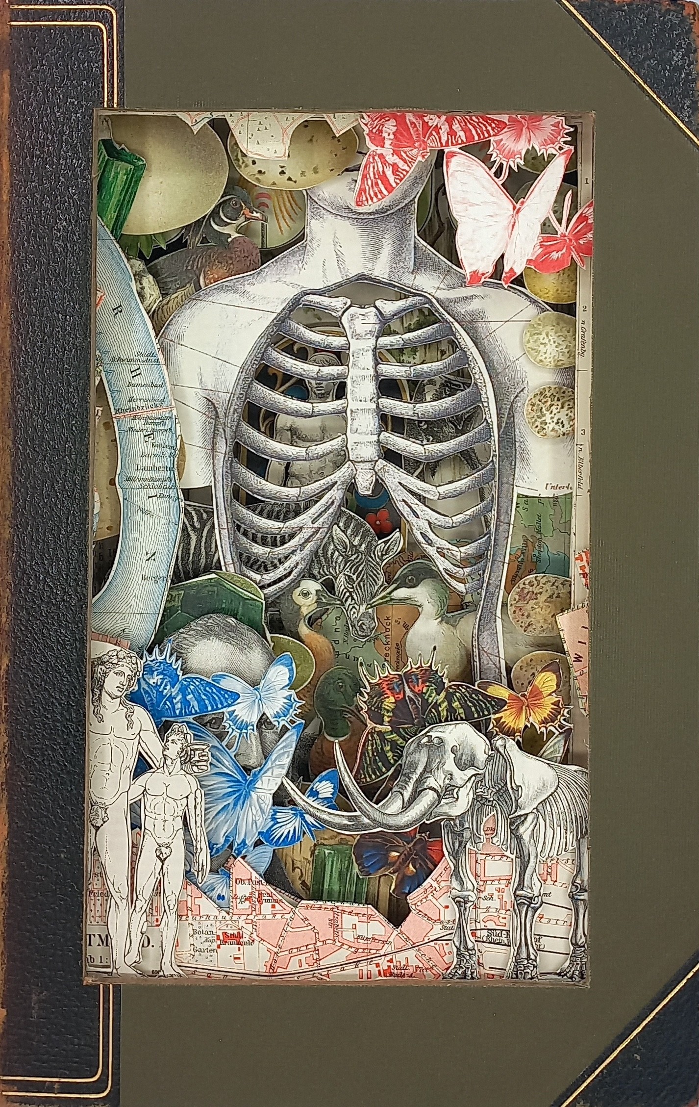 A drawing of a human skeleton surrounded by birds and flowers.