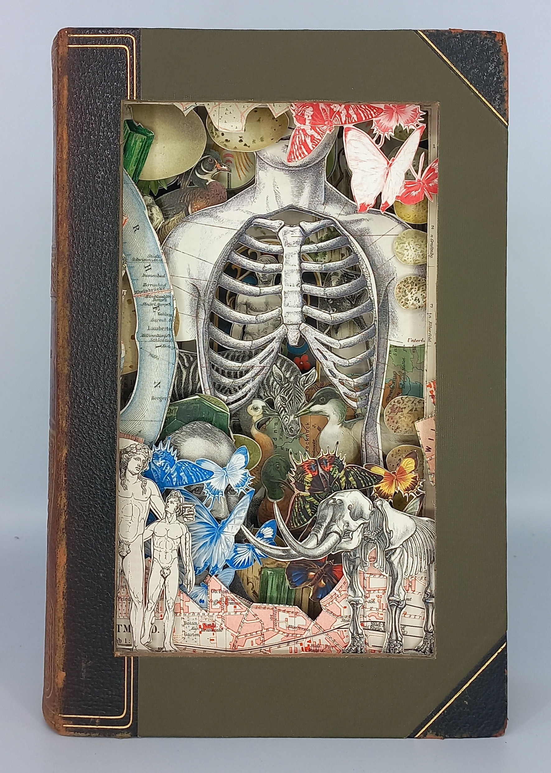 A drawing of a human skeleton surrounded by birds and flowers.