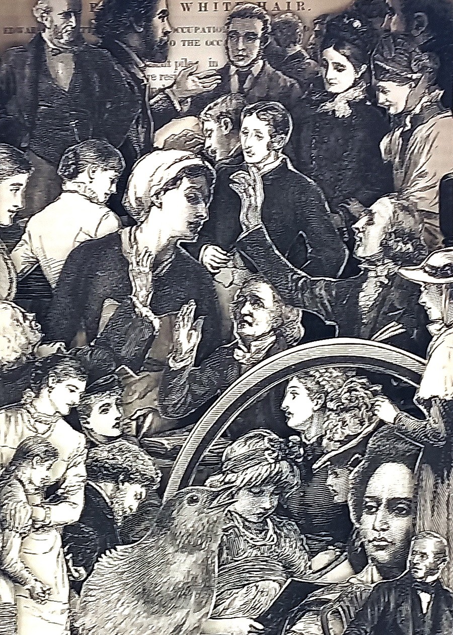 A book with a green cover sitting on top of a white surface.